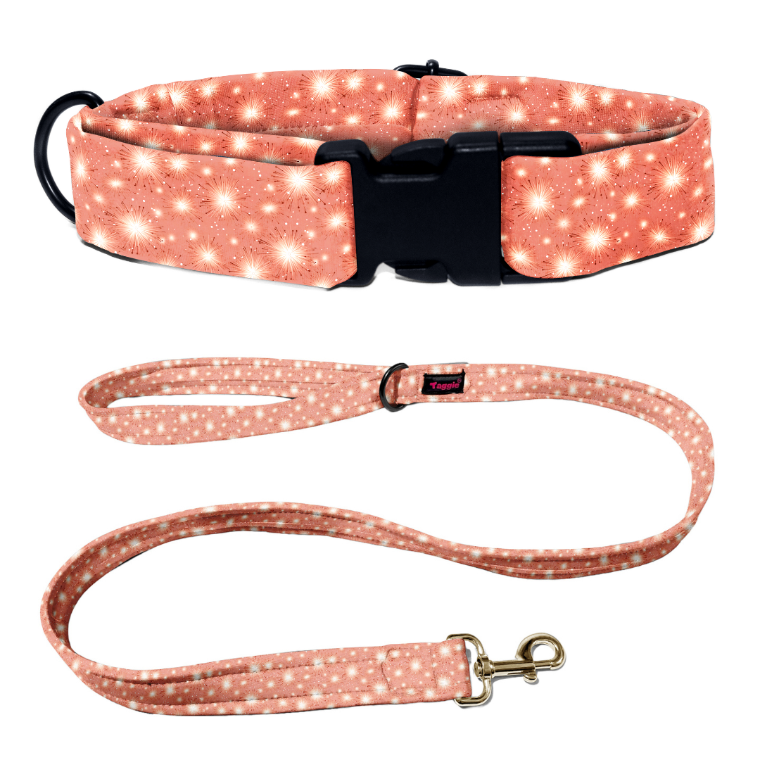 Gala Glamour Collar -Leash