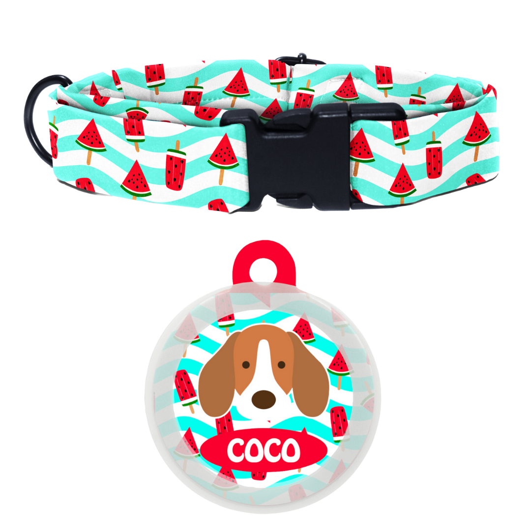 Beagle (Flaticon) - Collar & Tag