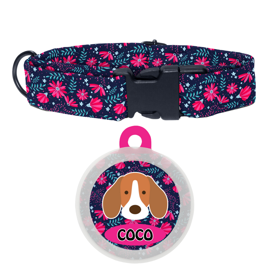 Beagle (Flaticon) - Collar & Tag