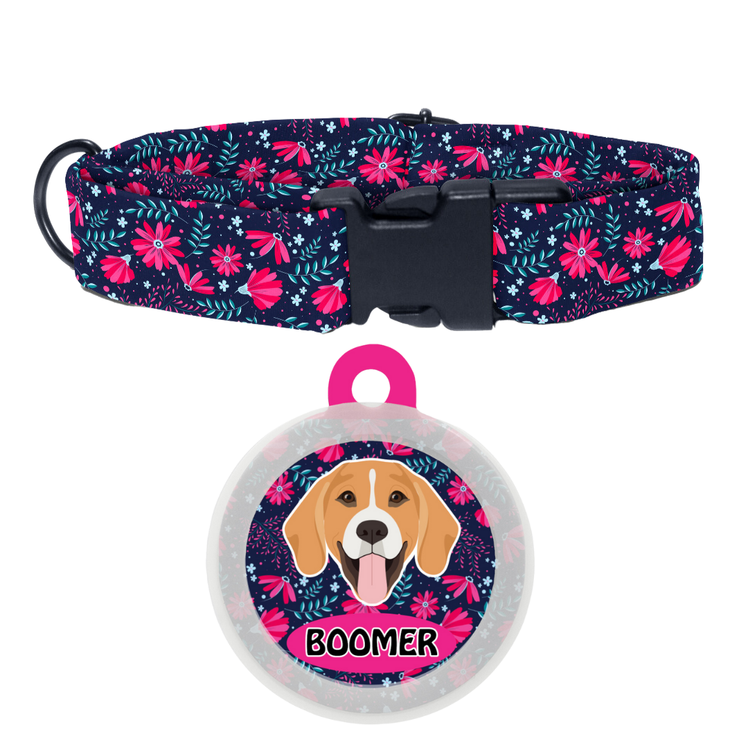 Beagle - Collar & Tag