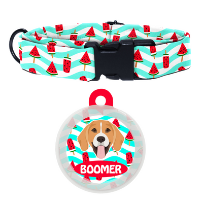 Beagle - Collar & Tag