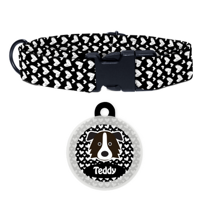 Border Collie - Collar & Tag