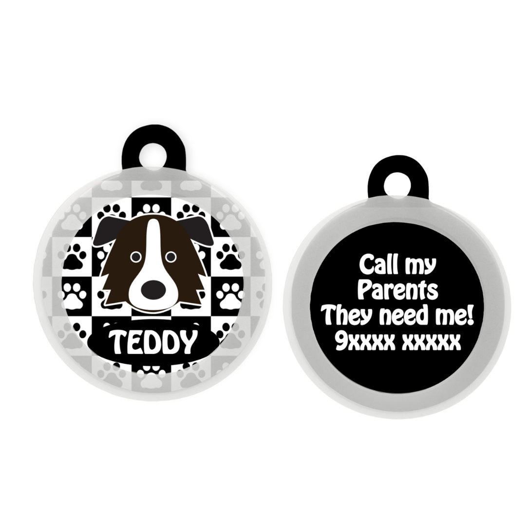 Border Collie - Collar & Tag