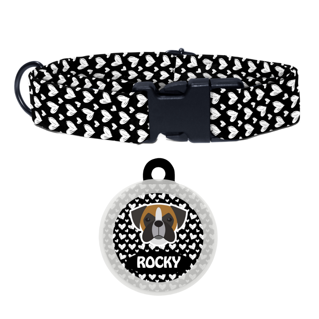 Boxer  - Collar & Tag