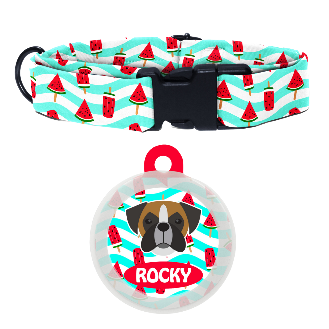 Boxer  - Collar & Tag