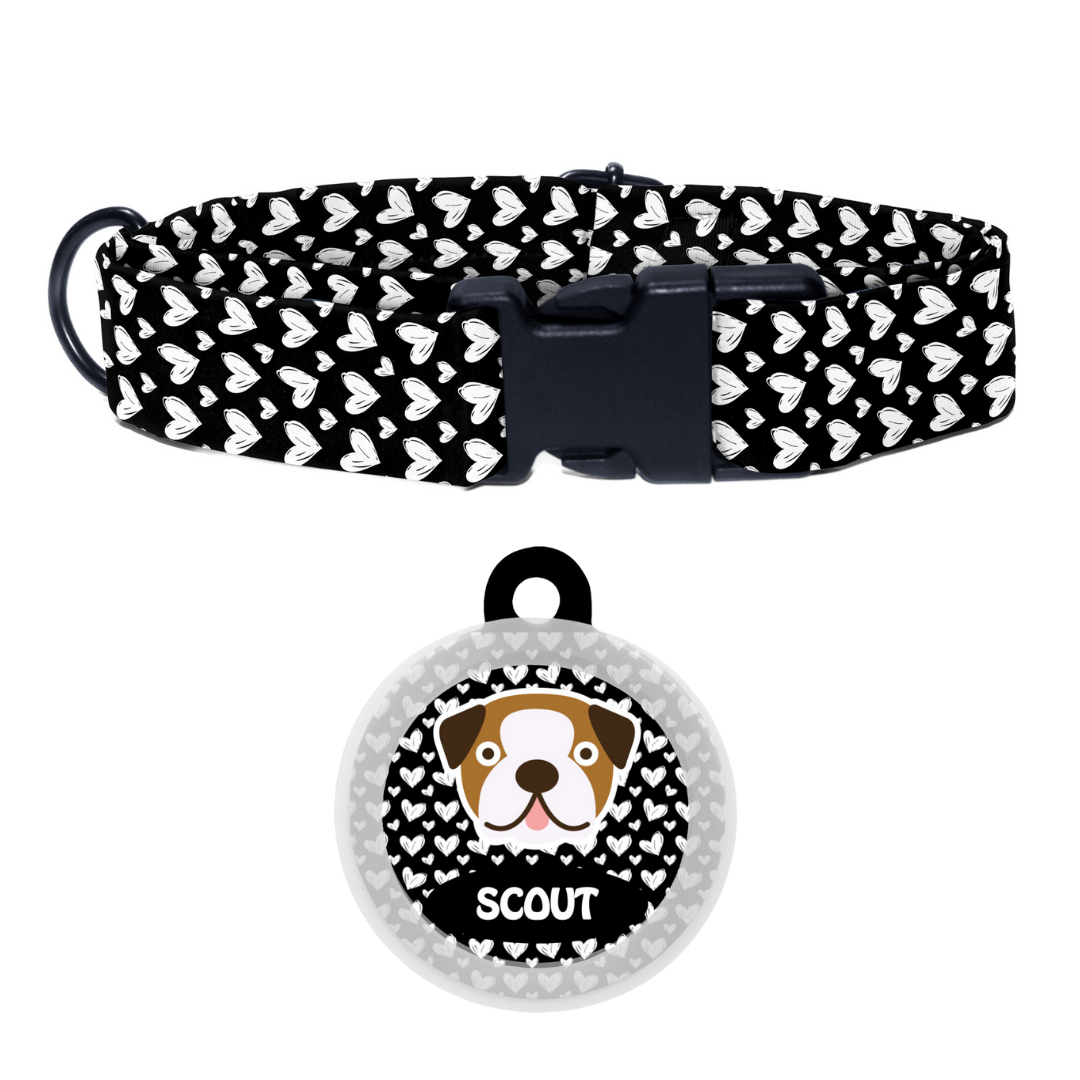 Bull Dog - Collar & Tag