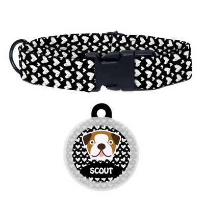 Bull Dog - Collar & Tag