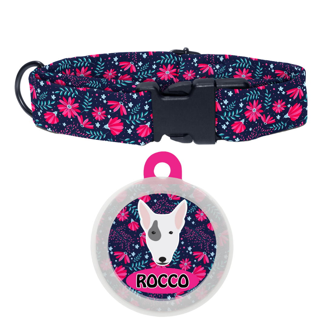 Bull Terrier  - Collar & Tag