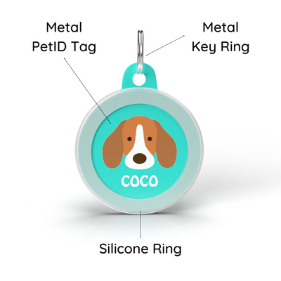 Welsh Corgi - Collar & Tag