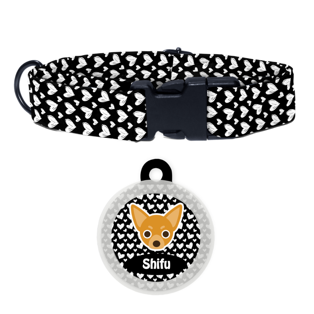 Chihuahua  - Collar & Tag