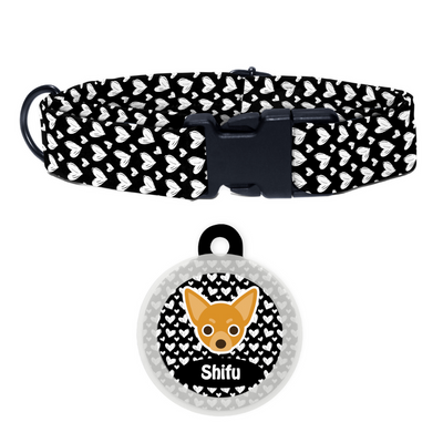 Chihuahua  - Collar & Tag