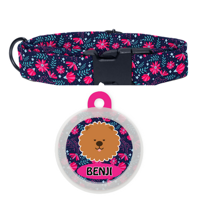 Chow Chow - Collar & Tag