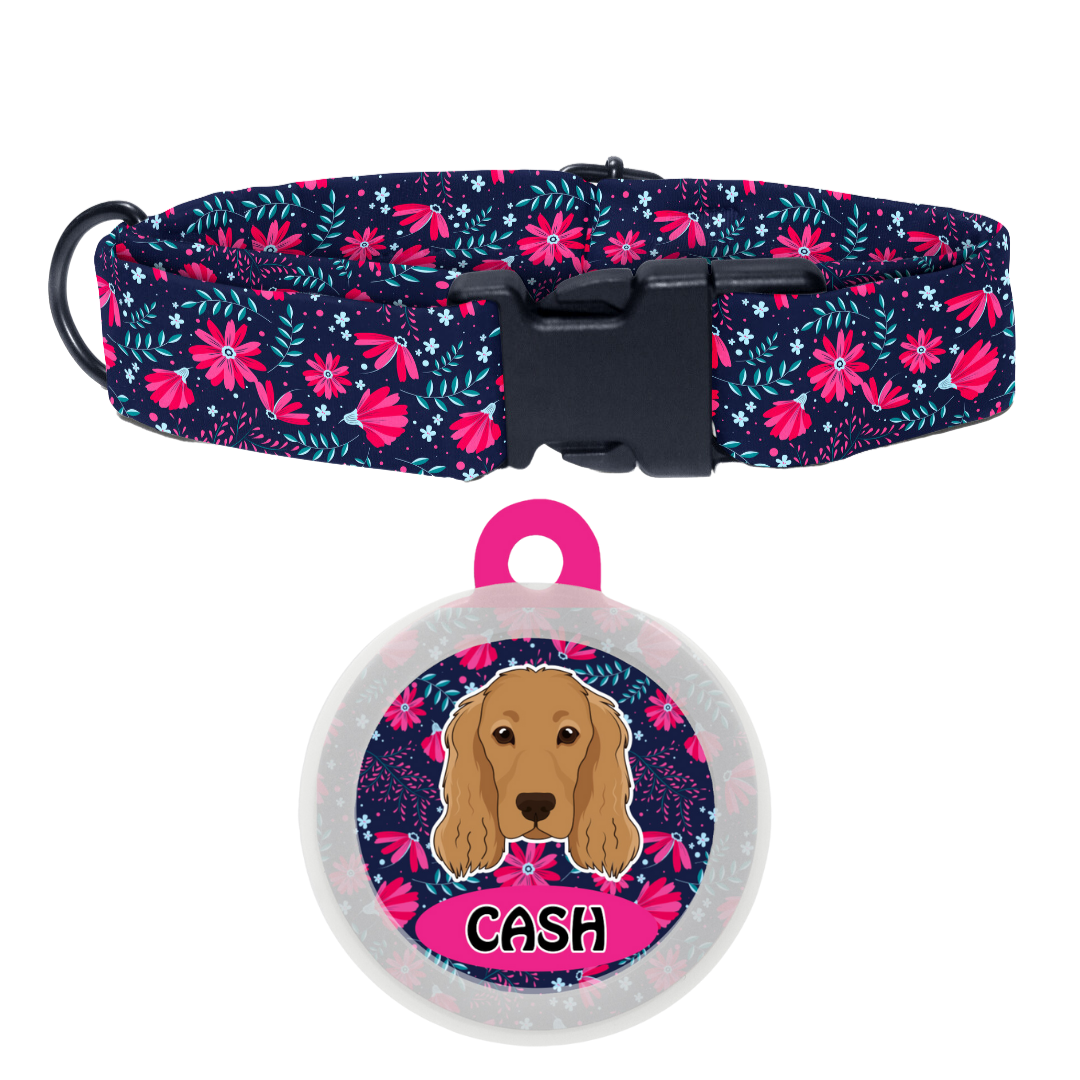 Cocker spaniel  - Collar & Tag