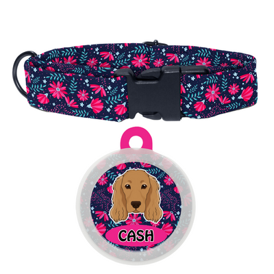 Cocker spaniel  - Collar & Tag