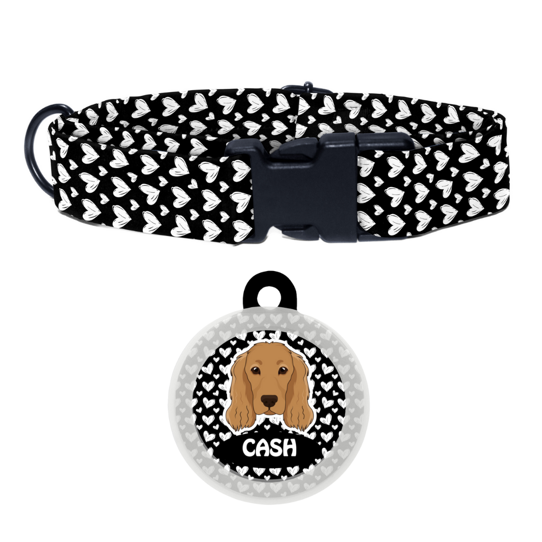 Cocker spaniel  - Collar & Tag