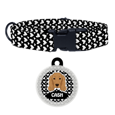 Cocker spaniel  - Collar & Tag