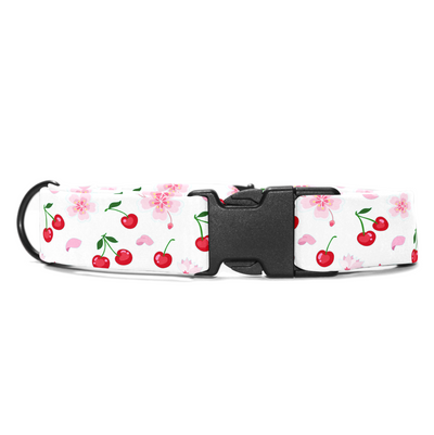 Cherry - Collar & Tag