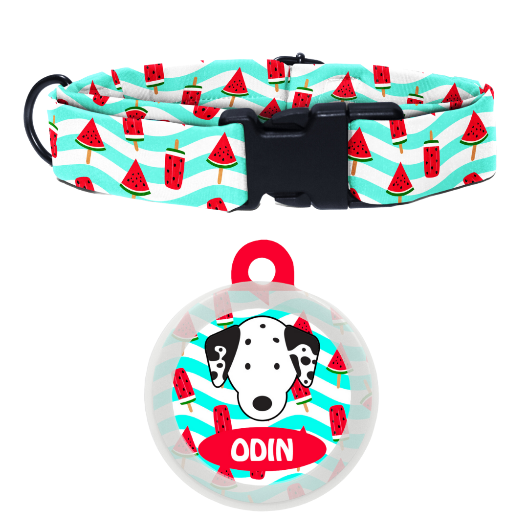 Dalmatian  - Collar & Tag