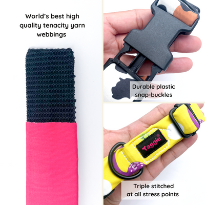 Ikkat Impressions - Collar & Tag
