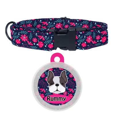 French Bulldog  - Collar & Tag