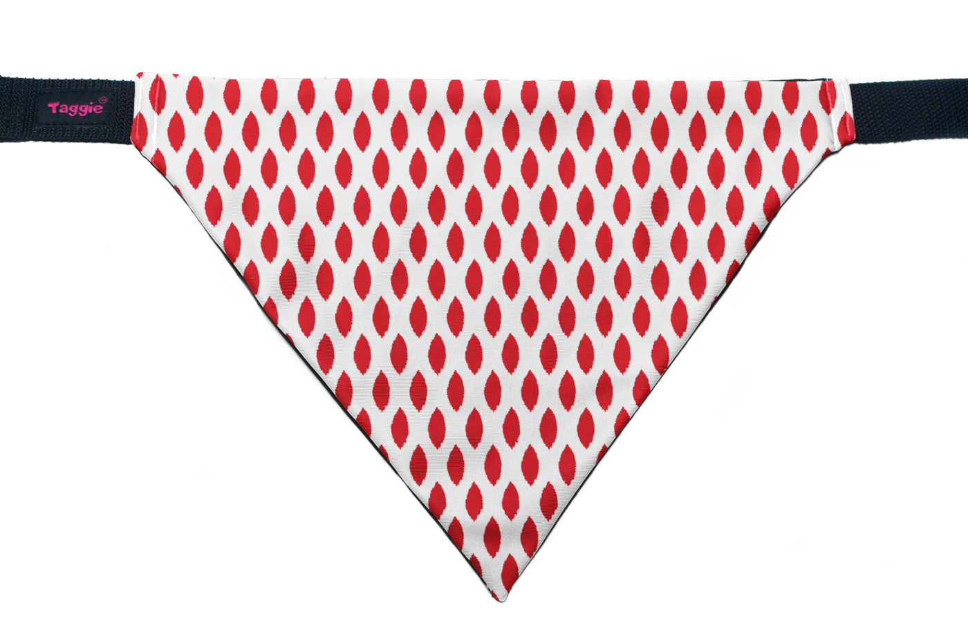 Paisley Pride - Bandana