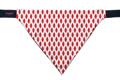 Paisley Pride - Bandana