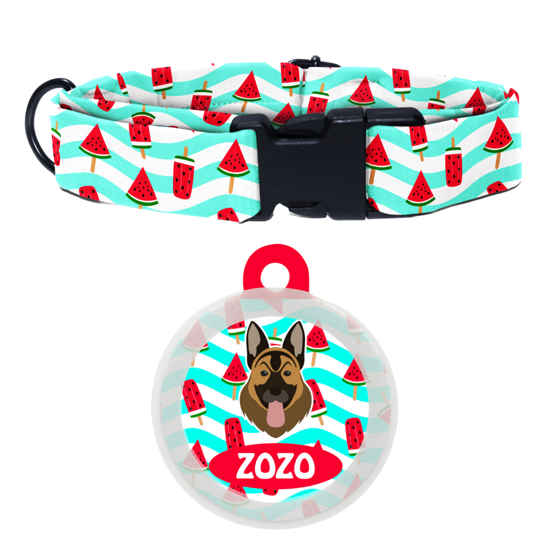 German Shepherd - Collar & Tag