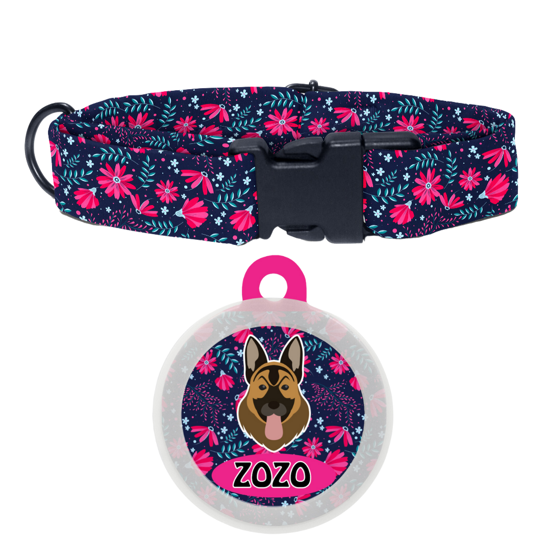 German Shepherd - Collar & Tag