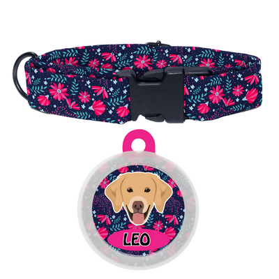 Golden Retriever - Collar & Tag