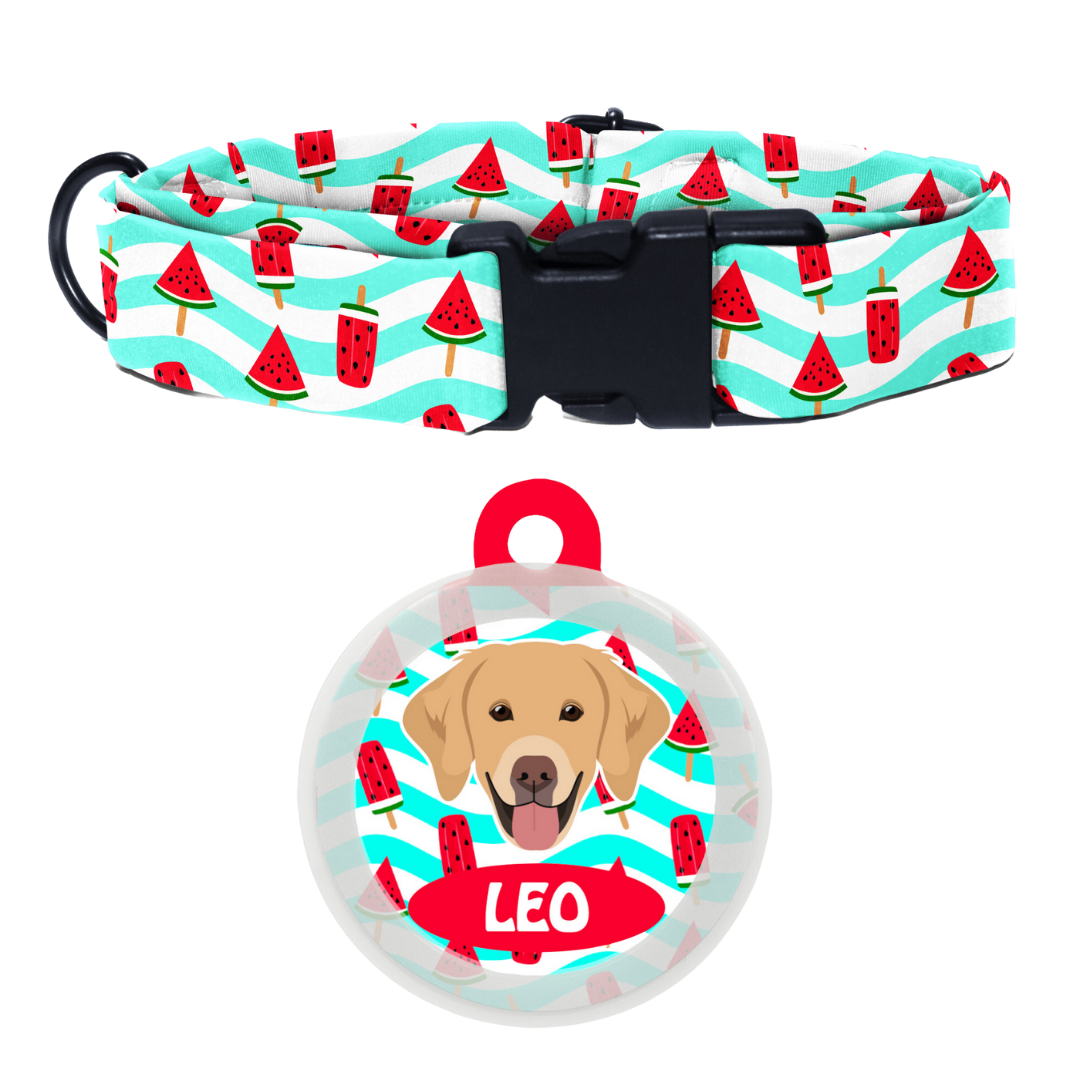 Golden Retriever - Collar & Tag