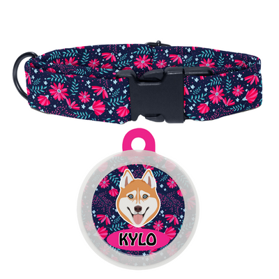 Husky (Brown) - Collar & Tag