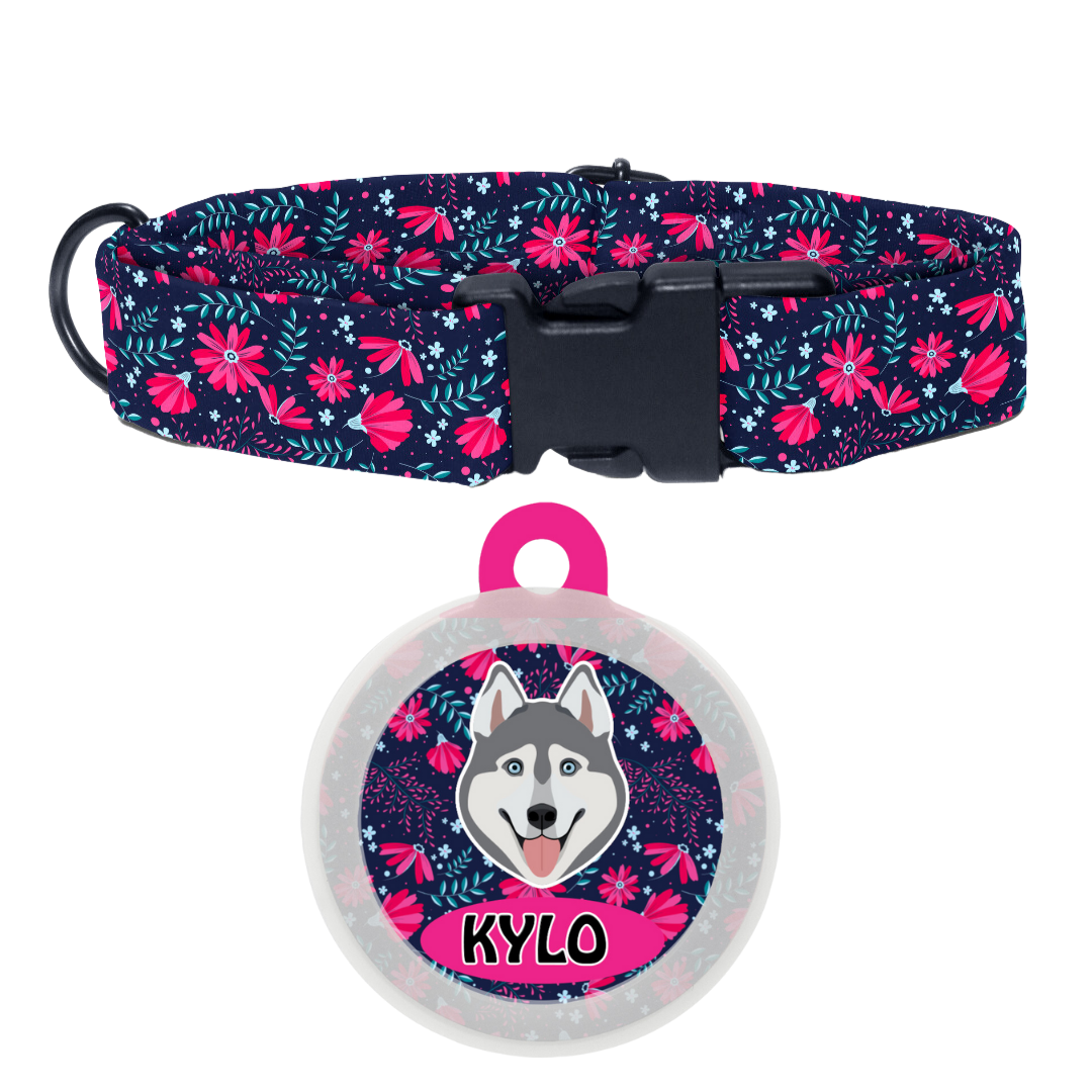 Husky (Grey) - Collar & Tag