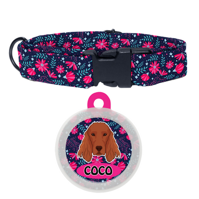 Irish Setter - Collar & Tag