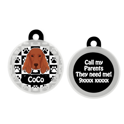 Irish Setter - Collar & Tag
