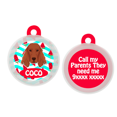 Irish Setter - Collar & Tag