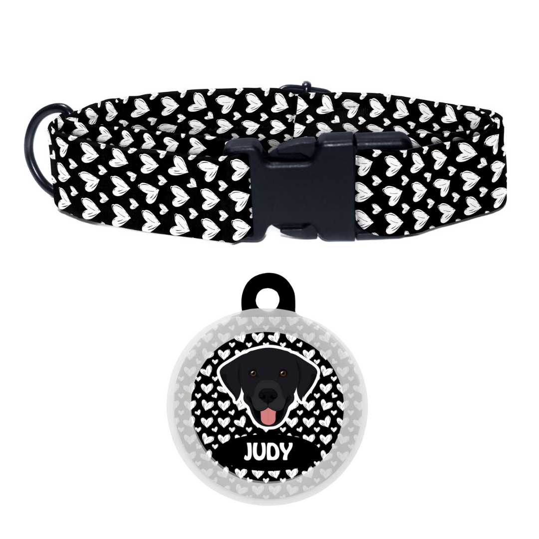 Labrador (Black) - Collar & Tag