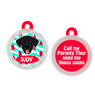 Labrador (Black) - Collar & Tag