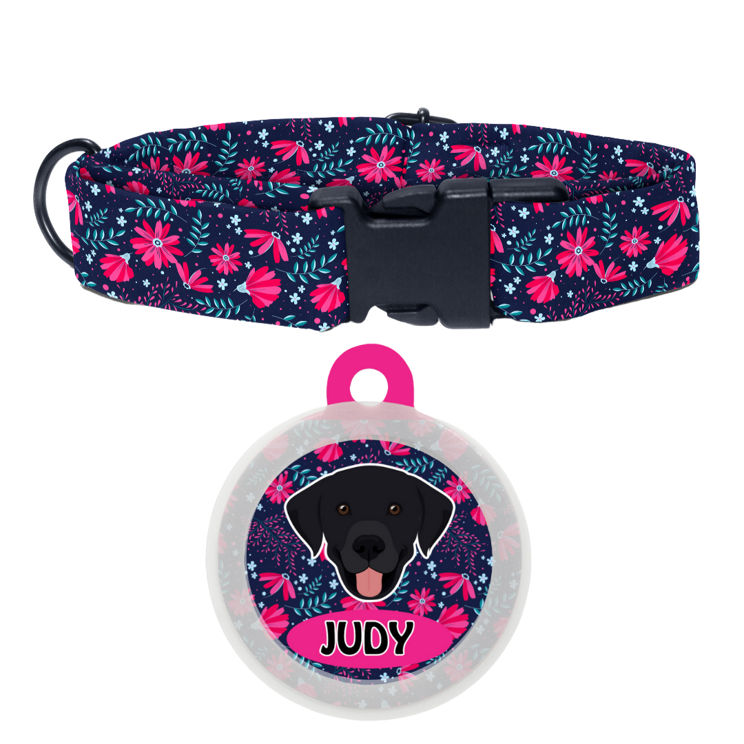 Labrador (Black) - Collar & Tag