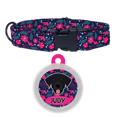 Labrador (Black) - Collar & Tag