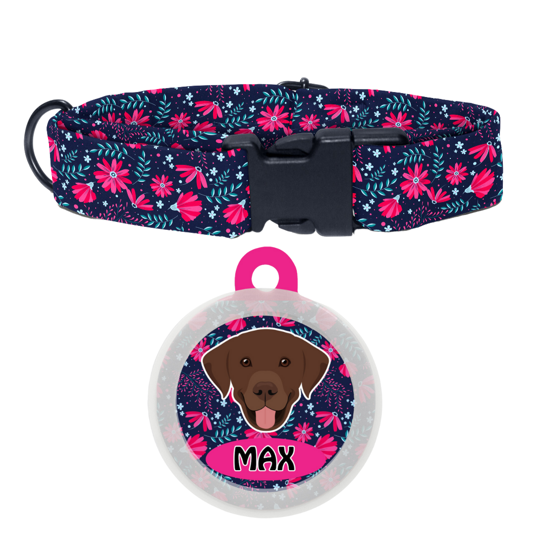 Labrador (Chocolate Brown)  - Collar & Tag