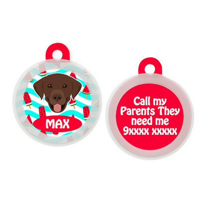 Labrador (Chocolate Brown)  - Collar & Tag