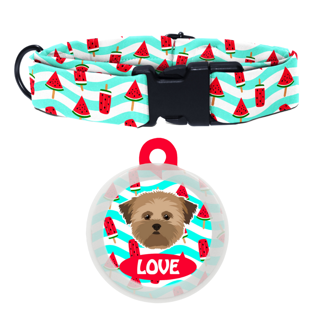 Lhasa Apso [Brown]- Collar & Tag