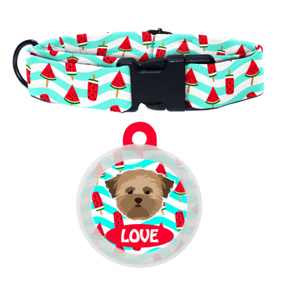 Lhasa Apso [Brown]- Collar & Tag
