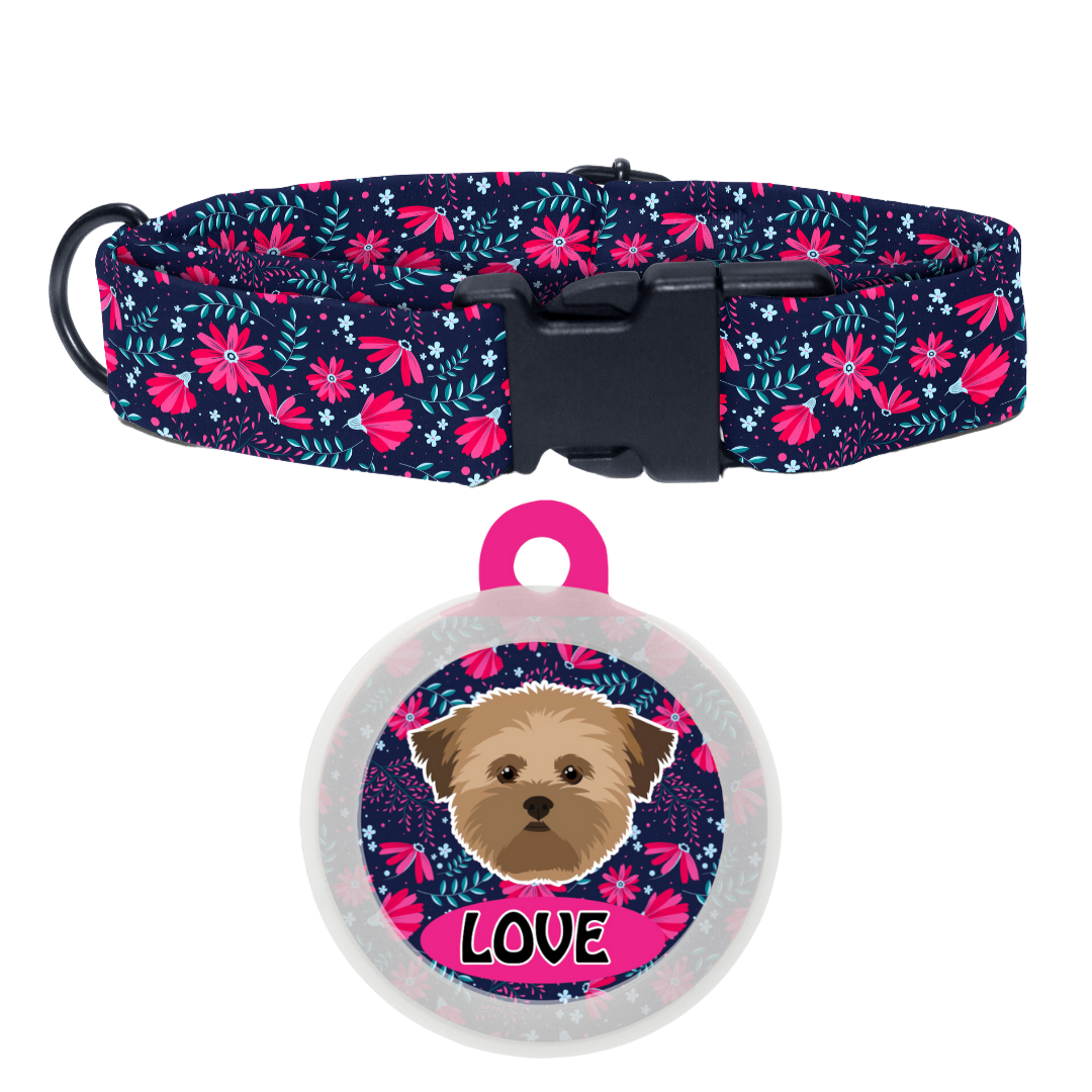 Lhasa Apso [Brown]- Collar & Tag