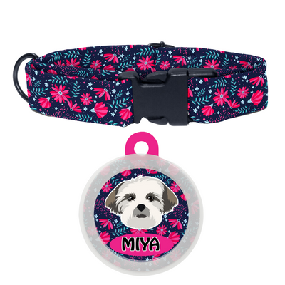 Lhasa Apso - Collar & Tag