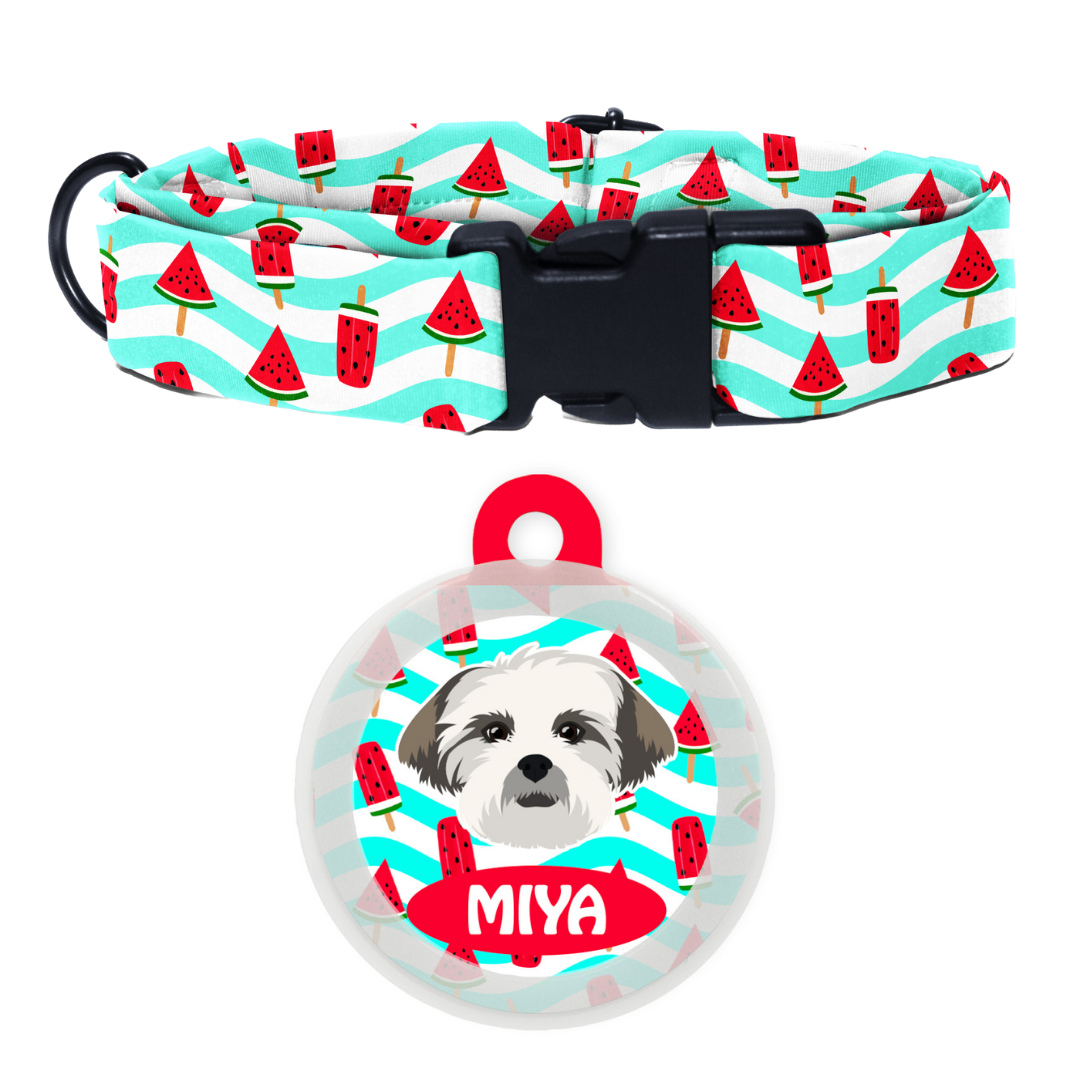 Lhasa Apso - Collar & Tag