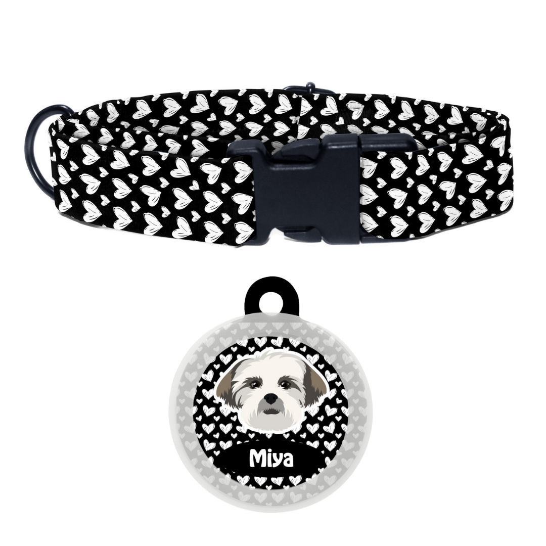 Lhasa Apso - Collar & Tag