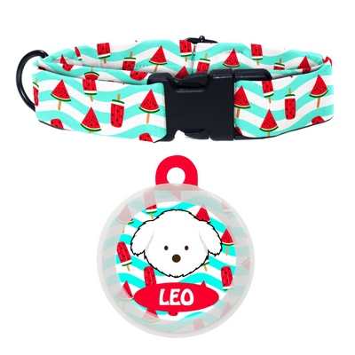 Maltese - Collar & Tag