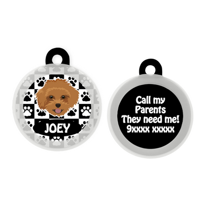 Maltipoo Brown - Collar & Tag