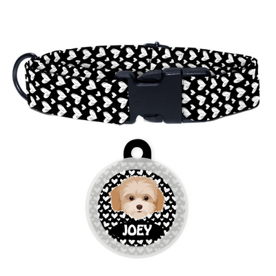 Maltipoo White-Brown - Collar & Tag